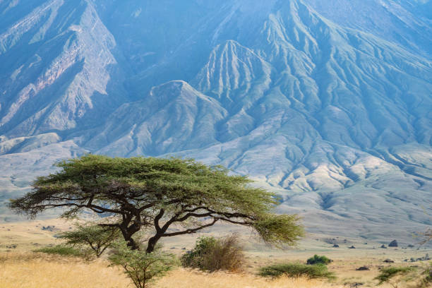 9-days-tanzania-midrange-adventure